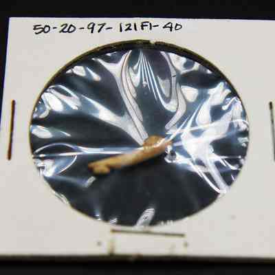 Closeup of portion of fishook: The image shows a small bone fragment sealed in a circular plastic pocket, placed on a white card with numeric markings.