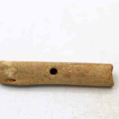 Possible bone toggle: The image shows a small, weathered, cylindrical bone piece with a solitary hole in its center, resting on a plain, light-colored surface.