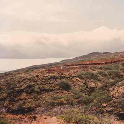 Hilly landscape