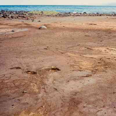 Hardpan terrain near coastline