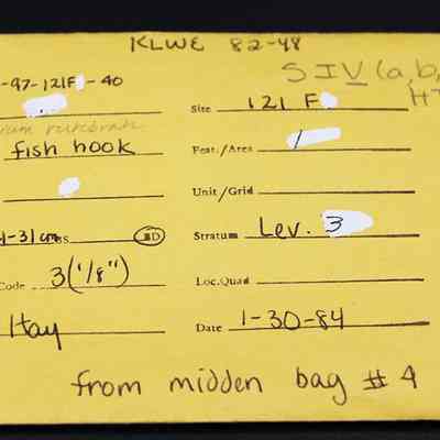 Artifact envelope for portion of fishhook: The image shows a yellow artifact envelope, documenting a fish hook specimen, dated 1-30-84, recovered from midden bag #4.