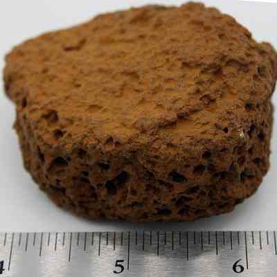 Close up of ulamaika with ruler: Origsize: 2.75 in (diameter); Origformat: Artifact; Resolution: 200 dpi