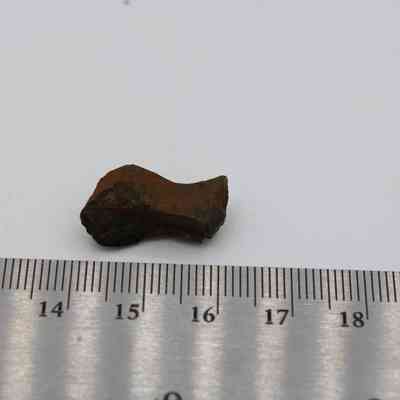 Basaltic glass pāhoehoe core with metal ruler: The image shows a small pāhoehoe lava rock next to a metal ruler, highlighting its textured surface and compact size.