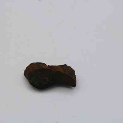 Basaltic glass pāhoehoe core: The image shows a small, dark brown piece of pāhoehoe lava, distinctively smooth and ropey, on a plain white background.