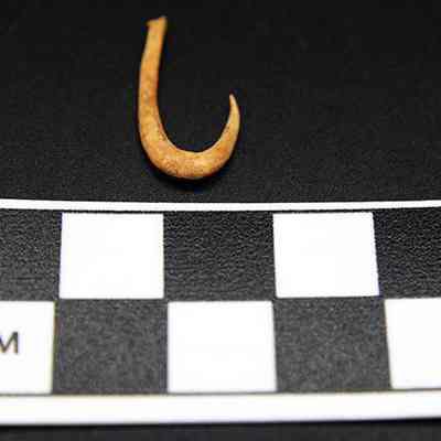 Closeup of fishhook with scale: The image shows an ancient hook placed above a scale, where each square represents a centimeter, giving a size reference.