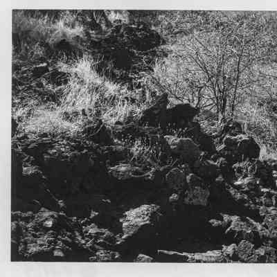 Site 645 #16