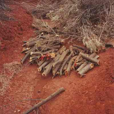 Ammo casing with wood