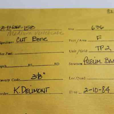 Artifact envelope for cut mammal bone: The image depicts a document with handwritten information about a specimen labeled "CUT BONE," recorded by K. Delimont on 2-10-84.