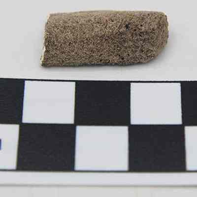 Coral abrader and scale: The image shows a close-up of a small coral object placed above a black and white measurement reference card marked in centimeters for scale.