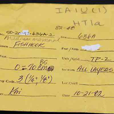 Artifact envelope for fishhook: The image shows a yellow archaeological artifact envelope with handwritten details about a fishhook specimen, including its accession number, location, and recovery code.