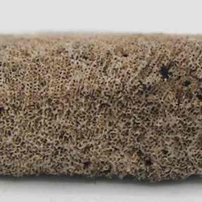 Closeup profile of coral abrader: The image shows a cross-section of a porous, rectangular coral with a rough texture and visible small holes, set against a plain, light background.