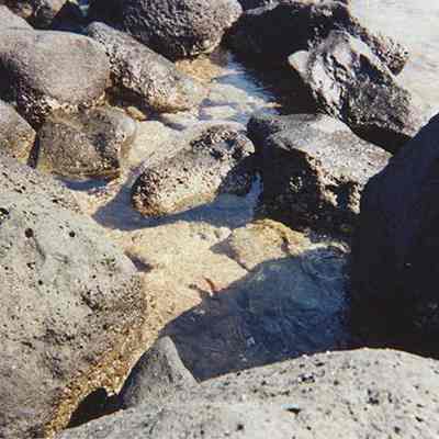 Tide pool