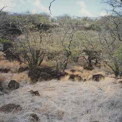 House Site Walls Above Kuheia