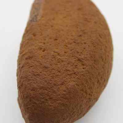 Lengthwise view of breadloaf sinker: The image depicts a rough-textured, brown stone sinker with an elongated, oval shape, used historically in fishing to weigh down nets or lines.