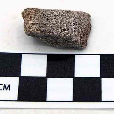 Coral abrader with scale: The image shows a porous coral fragment placed above a black and white scale marker labeled "CM", positioned on a plain surface.