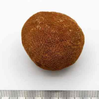 Closeup of a possible coral sinker: Origsize: 4.25 cm (D); Origformat: Artifact; Resolution: 200 dpi