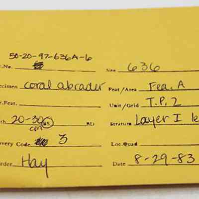 Artifact envelope for coral abrader: The image displays a yellow envelope with handwritten details, including accession number, specimen name, depth, and date. It refers to a coral abrader.