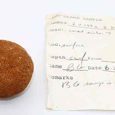 Possible coral sinker with artifact slip: Origsize: 4.25 cm (D); Origformat: Artifact; Resolution: 200 dpi