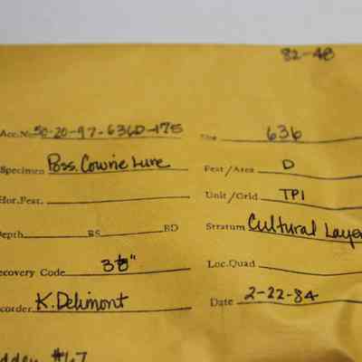 Artifact envelope for a cowrie shell fragment: The image shows a yellow envelope with handwritten details about an archaeological specimen, including its accession number, site, feature, unit, stratum, and recording date.
