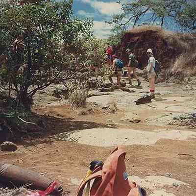 Hakioawa Gully
