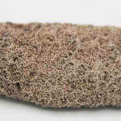 Profile of coral abrader: The image shows a piece of beige, porous coral set against a plain white background.