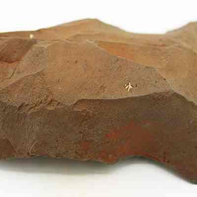 Adze blank: The image shows a rough, irregularly shaped piece of reddish-brown stone, likely used historically for crafting tools or as an artifact.