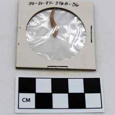Closeup of part of a fishhook with scale: The image shows a small, thin, brown object inside a labeled paper holder with a transparent circular cover, above a black-and-white checkered scale.