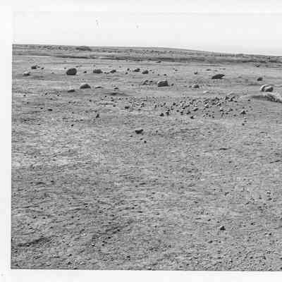 Site 110AD #17