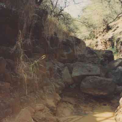 Water in streambed