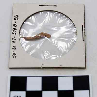 Part of fishhook: A small artifact is enclosed in a protective cardboard and plastic case with catalog numbers on the side.