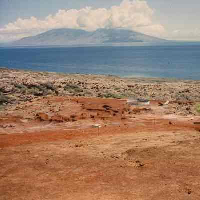 Hardpan landscape