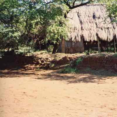 Hale (shelter) surrounded by trees