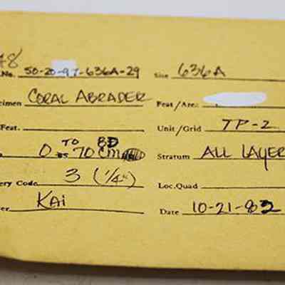Artifact envelope with coral abrader: Original size: 3.5" x 5"; Original format: Other; Resolution: 150 dpi