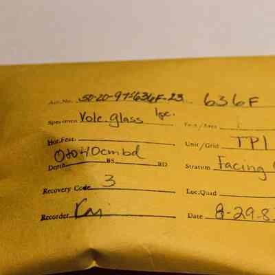 Manila artifact envelope for a piece of volcanic glass: The image shows a labeled yellow envelope with handwritten details including the specimen "Volc glass," dated 8-29-83, and other excavation-related information.
