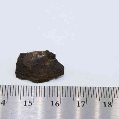 Closeup profile of a basaltic glass flake with a ruler: A small basaltic glass flake lies on a white background next to a metallic ruler for scale.