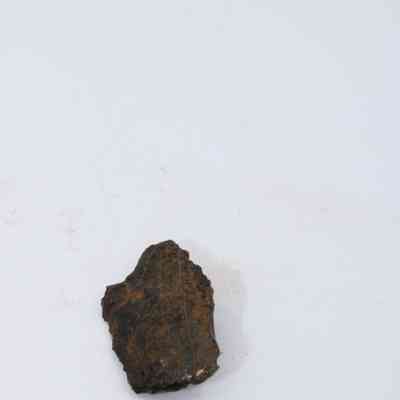 Closeup of basaltic glass flake: A small, dark brown basaltic glass flake rests on a smooth white surface, highlighting its rough and uneven texture.