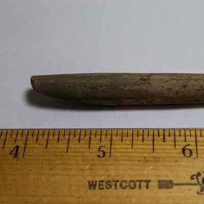 Echinoid abrader
