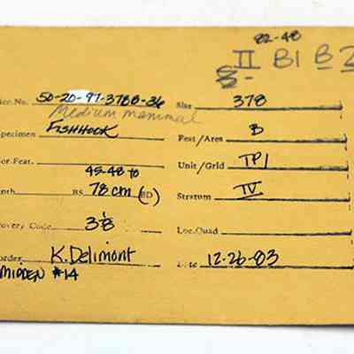 Artifact envelope for fishhook part: The image shows a completed archaeological envelope detailing specimen information, including a specimen labeled "Fishhook" and associated data like site, depth, and recovery date.
