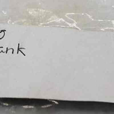 Artifact bag label for adze blank: The image shows a handwritten label on a piece of paper with the text "208-24.10 Adze Blank Surf. M.C.