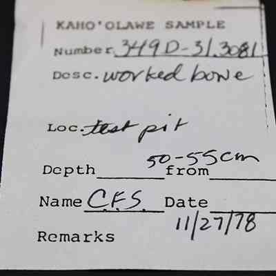 Artifact slip for a piece of worked bone: The image shows a sample record from Kahoʻolawe, labeled as a "worked bone," with number 319D-31.3081.