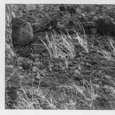 Site 647D #5