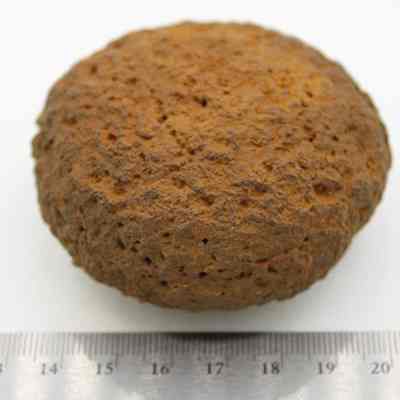 Closeup of hammerstone: Original size: 6.71 cm (diameter); Original format: Artifact; Resolution: 150 dpi