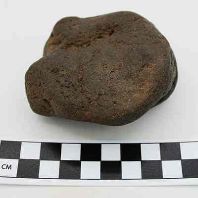 Closeup of hammerstone and scale: The image shows a textured, brownish rock on a plain background, next to a black-and-white checkered scale indicating centimeters for size comparison.