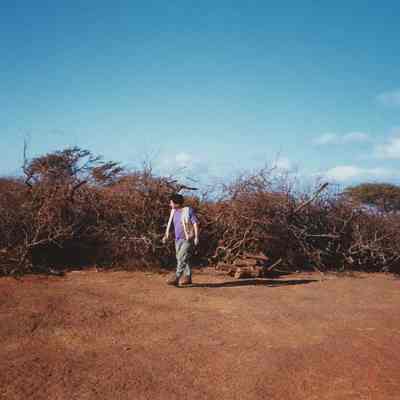Paul Higashino and brush pile