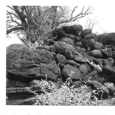 Site 106L #17