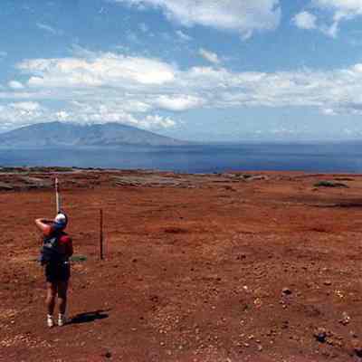 Man surveying