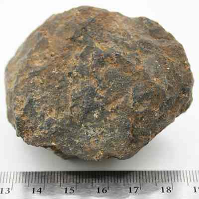 Closeup of hammerstone or core with ruler: A rough, grayish-brown rock with irregular surfaces is placed beside a ruler, indicating its size measurement.