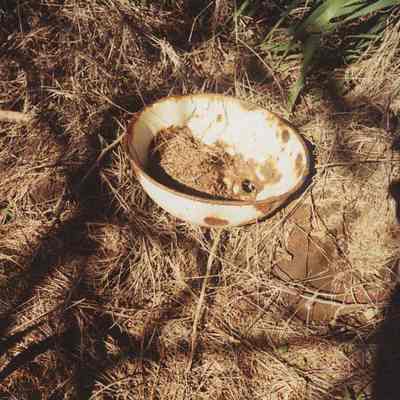 Wash basin on ground at Kuheia