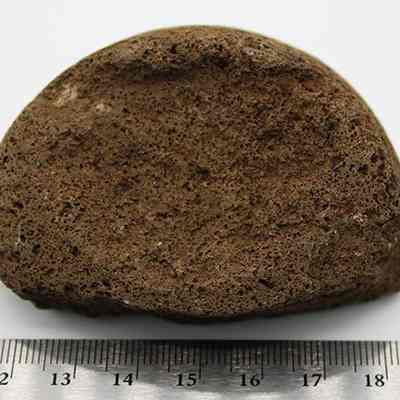 Fragment of 'ulu maika with a ruler: The image shows a rough, half-spherical brown rock on a white background, with a metric ruler beneath it displaying measurements in centimeters.