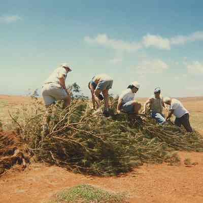 Environmental clean up at LZ3